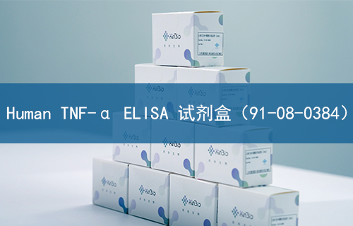 Human TNF-α ELISA 试剂盒（91-08-0384）